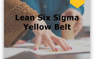 Smelt Academy Lean Six Sigma - Yellow Belt