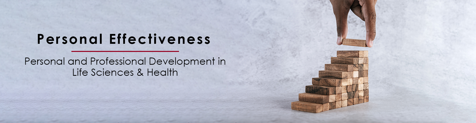 Smelt Academy personal effectiveness