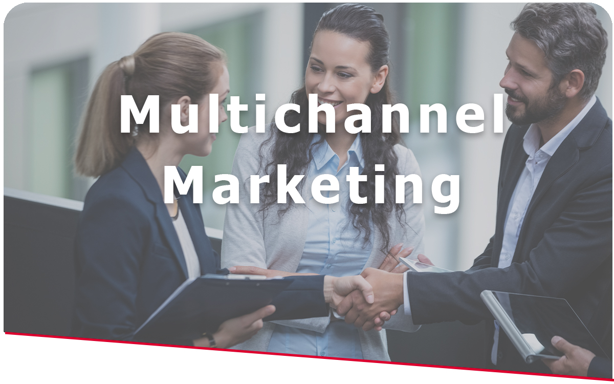 Smelt Academy training Multichannel Marketing