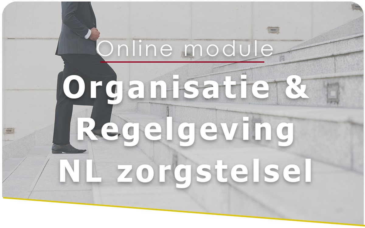Smelt Academy online module Organisatie & Regelgeving van het Nederlandse zorgstelsel