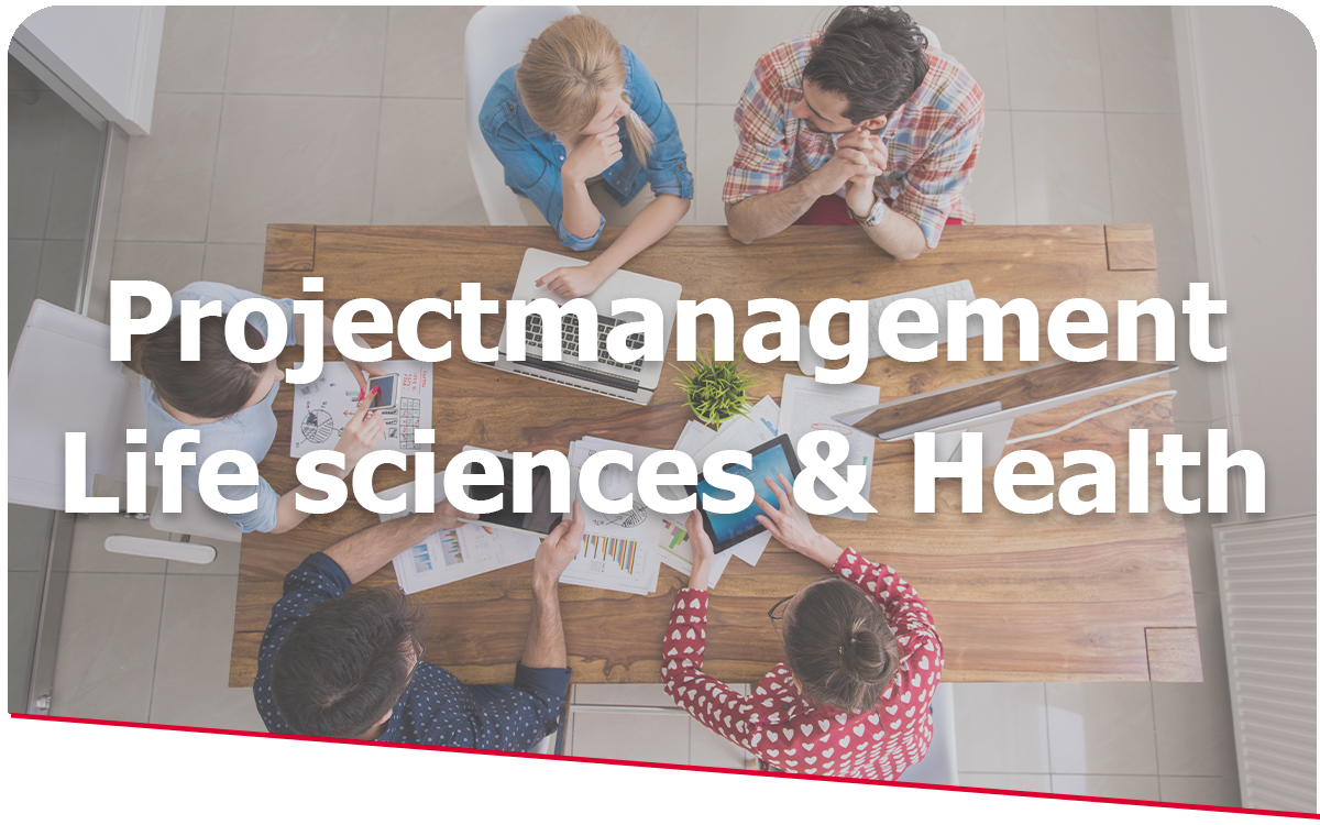 Smelt Academy Projectmanagement